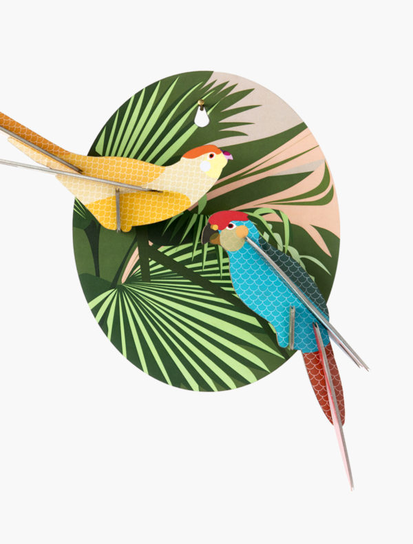 Bird - Parakeets – Image 2