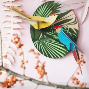 Bird - Parakeets