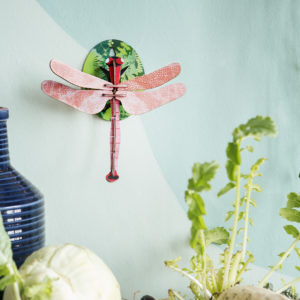 Small Insects - Pink Dragonfly