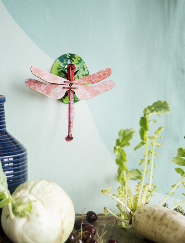Small Insects - Pink Dragonfly