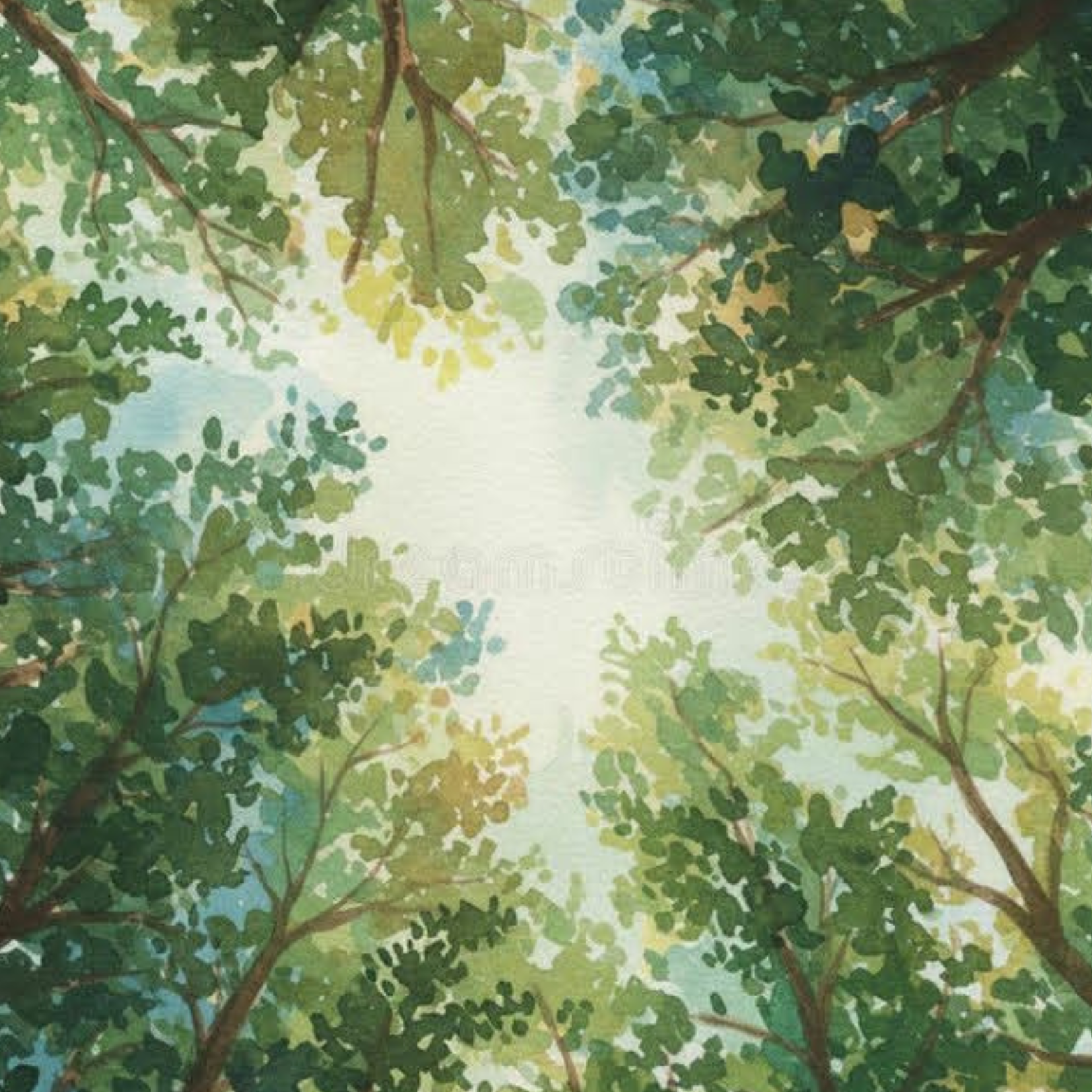 Samedi 19 septembre 2026: aquarelle de 10h à 12h